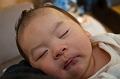 WongFamilyShoot025