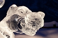 IceMagic028