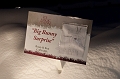 IceMagic033
