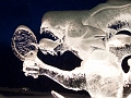 IceMagic041