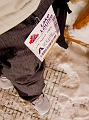 LakeLouiseCam003