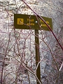 Radium017_ap