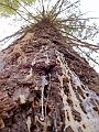 Radium030_ap