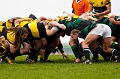 Rugby031