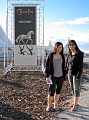 Cavalia004