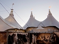 Cavalia007