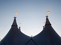 Cavalia008