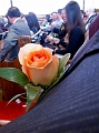 JasonNikiWedding013