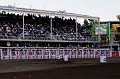 Stampede041