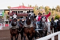 Stampede044