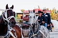 Stampede045