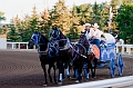 Stampede047
