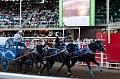 Stampede048