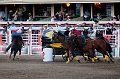 Stampede049