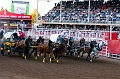 Stampede051