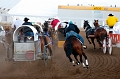 Stampede052