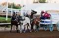 Stampede054