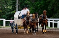 Stampede055