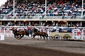 Stampede056