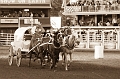 Stampede058