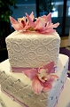 ViKevinWedding021