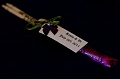 ViKevinWedding026