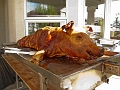 PigRoast001