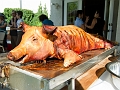 PigRoast002