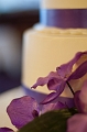 CamEricaWedding045
