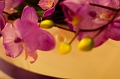 CamEricaWedding068
