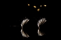 PhilippinesFireworks045