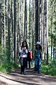 JohnsonLake008