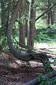 JohnsonLake038