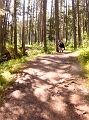 JohnsonLake_AP011