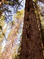 JohnsonLake_AP030