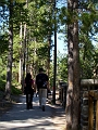 JohnsonLake_TP013