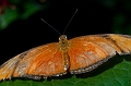 ZooConservatory001