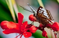 ZooConservatory002