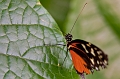 ZooConservatory004