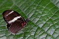 ZooConservatory005