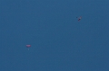 Skydiving058