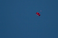 Skydiving099