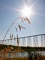 Lethbridge011