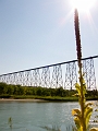 Lethbridge015