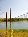 Lethbridge016