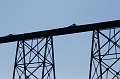 Lethbridge020