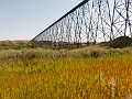 Lethbridge029