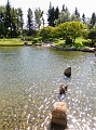 Lethbridge066