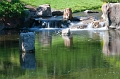 Lethbridge079
