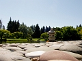 Lethbridge106